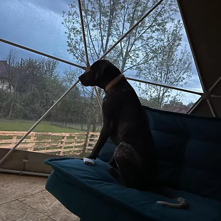Wyzly I Spolka Luxury tent Pewel Wielka
